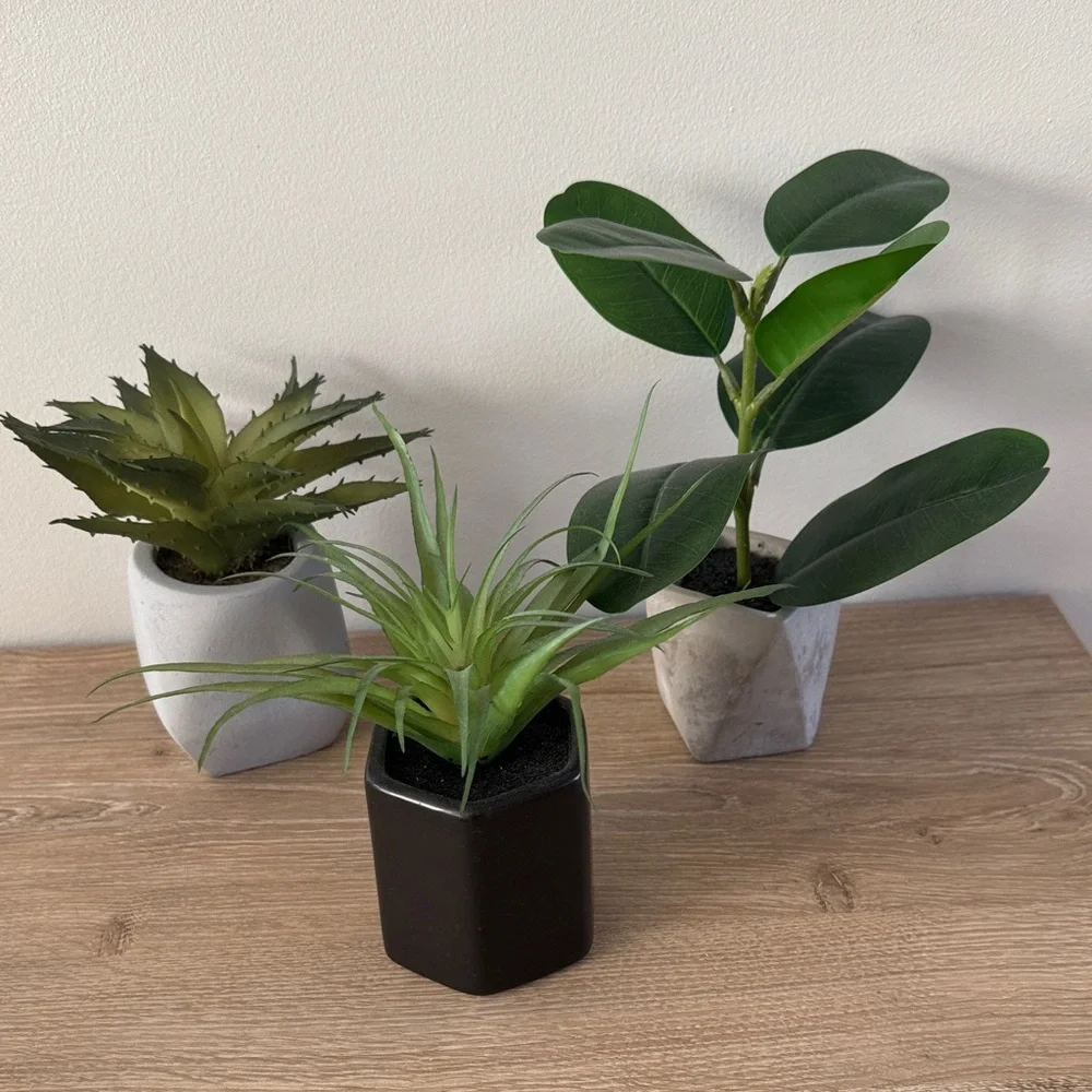 Target Project 62 Faux Plants (set 3)